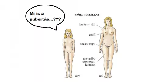 course-image