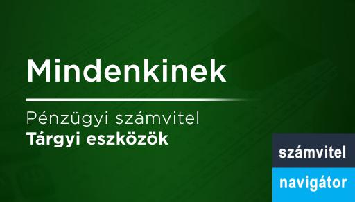 Tárgyi eszközök
