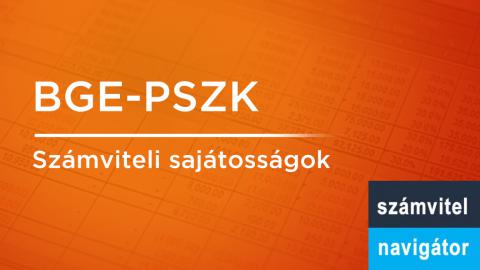 Számviteli sajátosságok